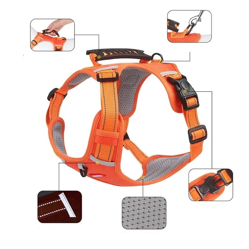 Petnešos šuniukams - Originalu-pigu