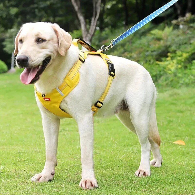 Petnešos šuniukams - Originalu-pigu