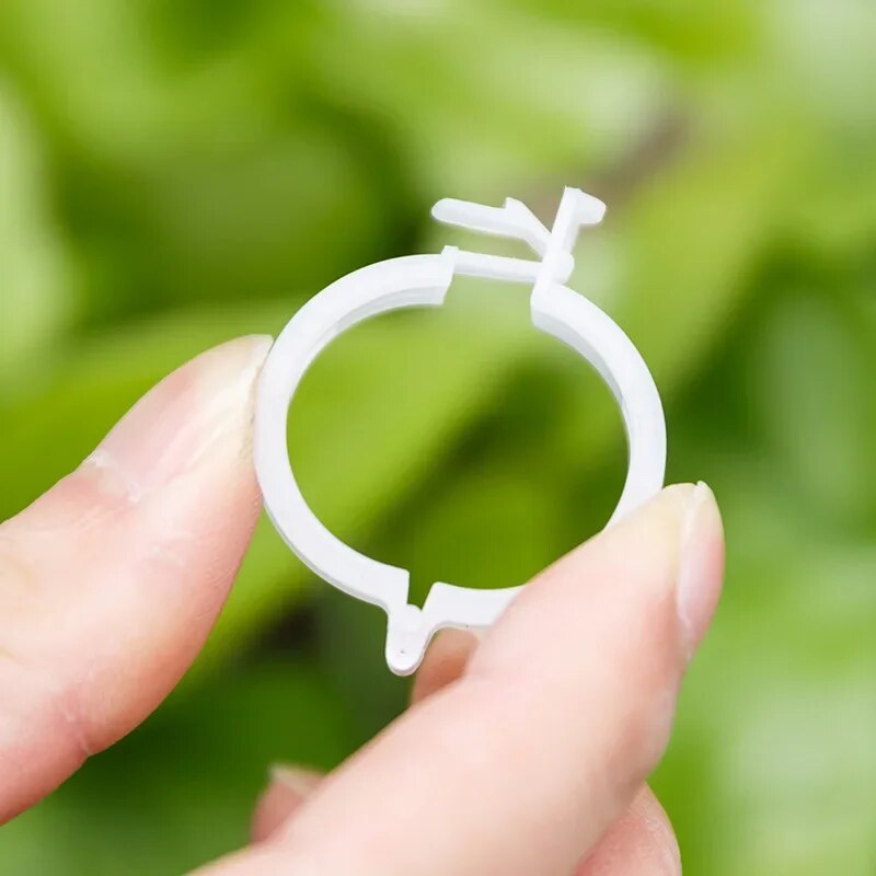 Augalų laikikliai atramai (3 vnt.)