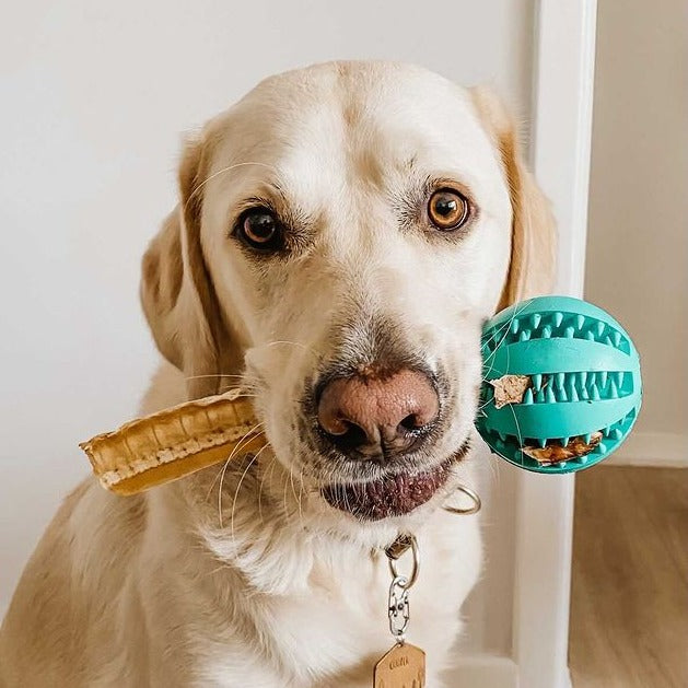 Dantų valymo kamuoliukas šunims Toothy™ - Originalu-pigu