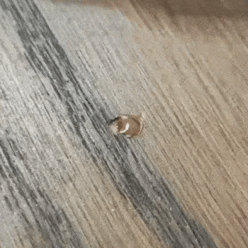 Grindų ir baldų taisymo rinkinys - Originalu-pigu