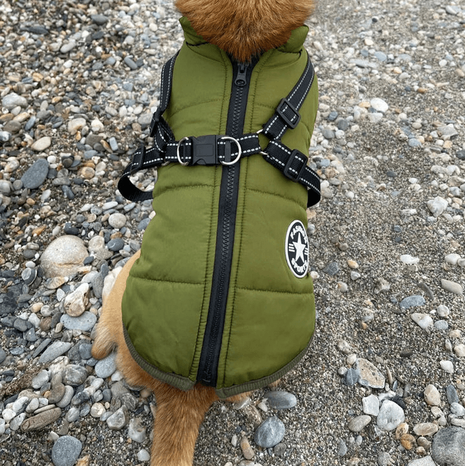 Pūkuotas švarkelis šuniui - Originalu-pigu