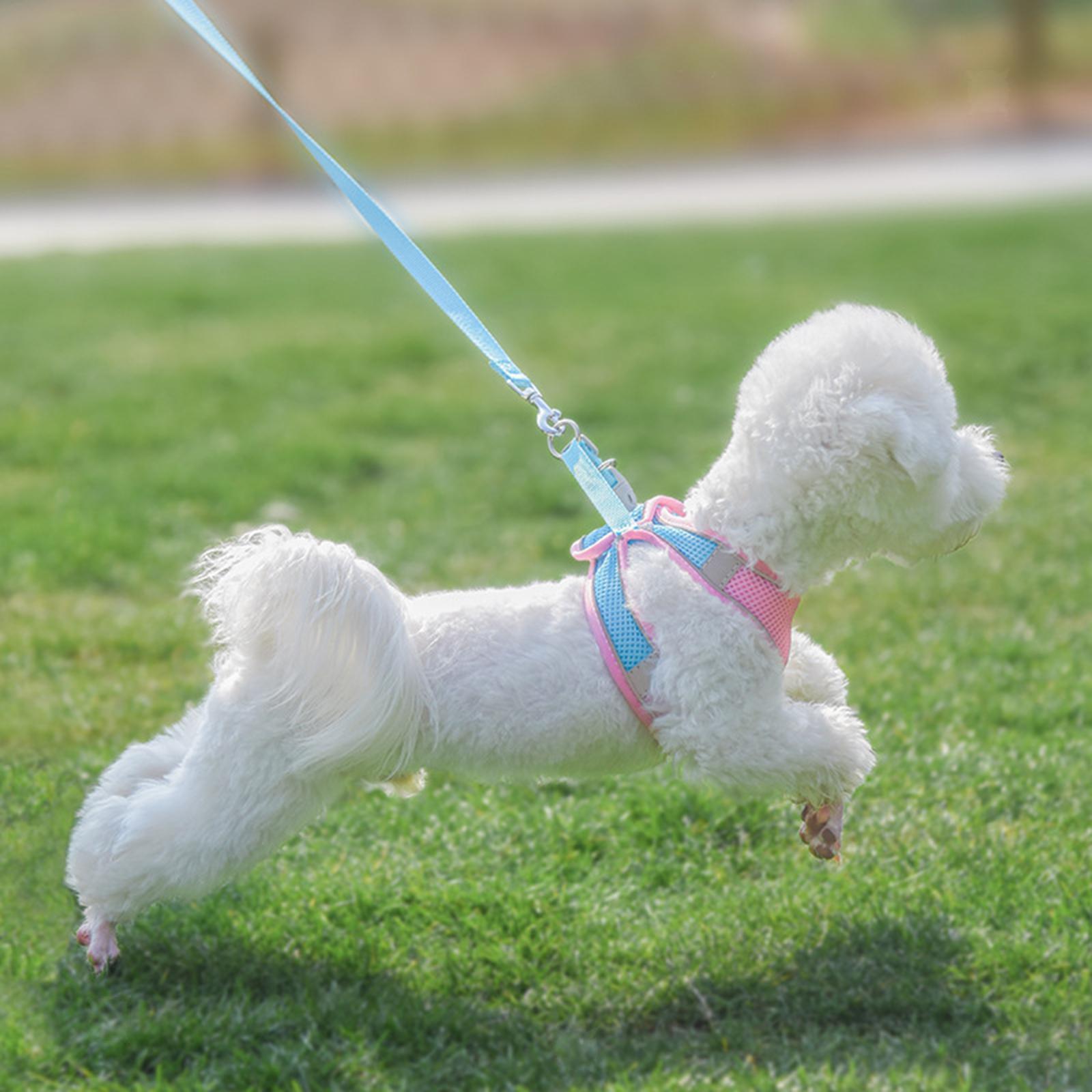 Šviesą atspindintis pavadėlis (3 vnt.) - Originalu-pigu