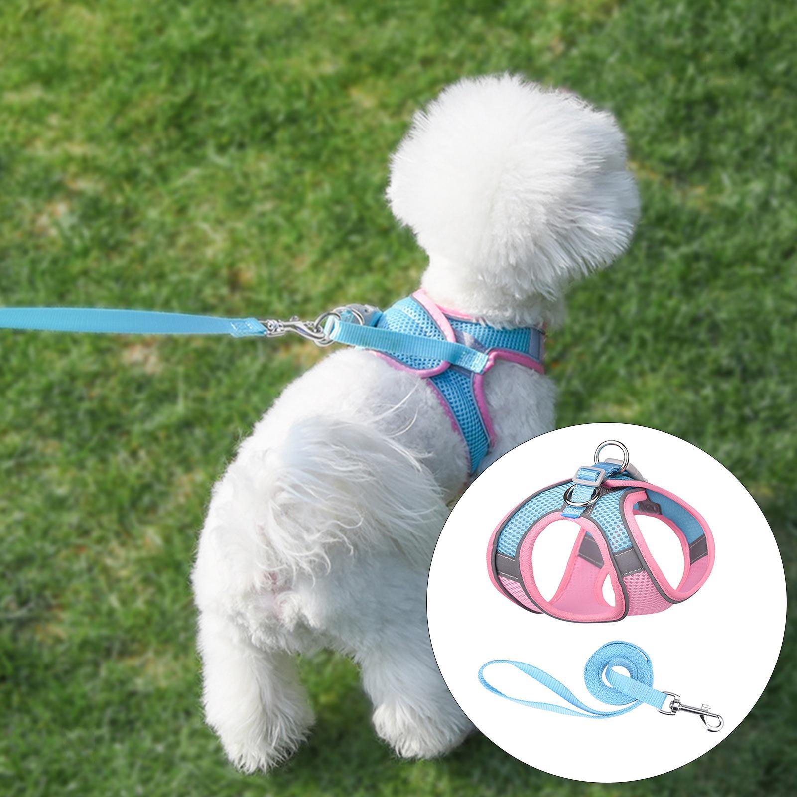 Šviesą atspindintis pavadėlis (3 vnt.) - Originalu-pigu