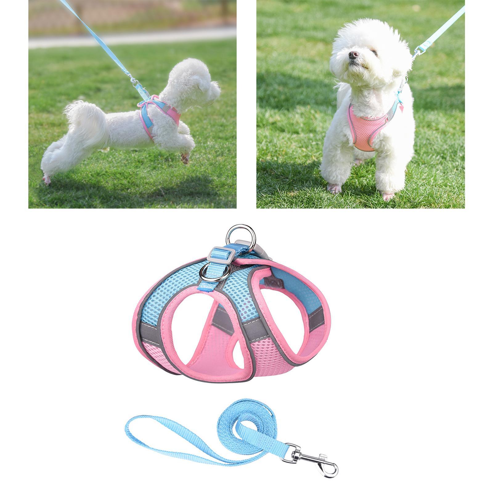 Šviesą atspindintis pavadėlis (3 vnt.) - Originalu-pigu