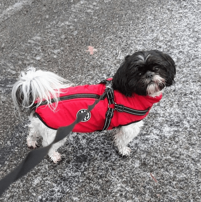 Pūkuotas švarkelis šuniui - Originalu-pigu