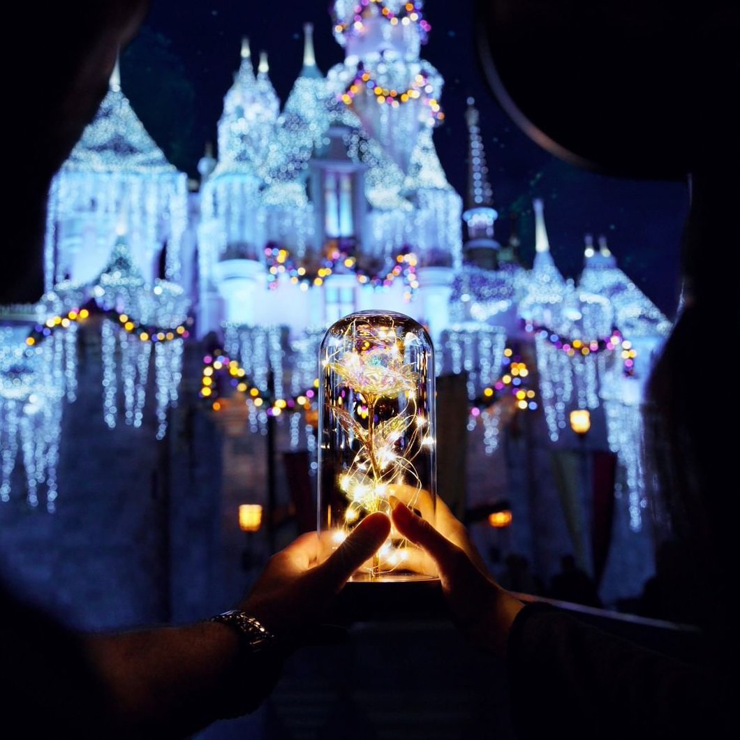 Magiškas LED rožės žibintas - Originalu-pigu