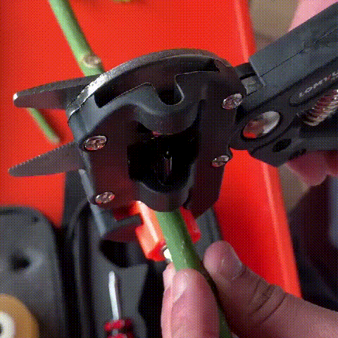 Augalų kryžminimo ir genėjimo žirklės - Originalu-pigu