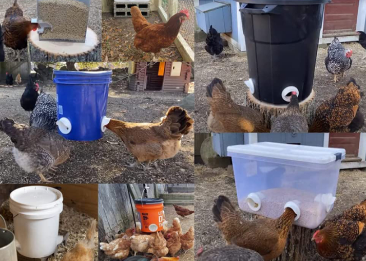 Vištų pašaro dispenseris - Originalu-pigu