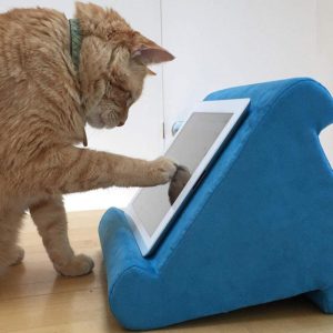 Minkšta pagalvė - stovas - Originalu-pigu