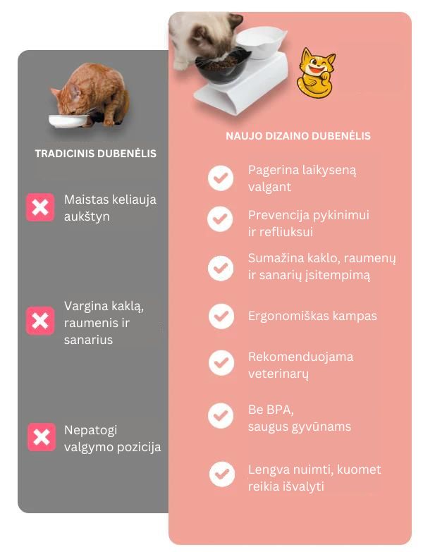 Katės maisto dubenėlis - Originalu-pigu