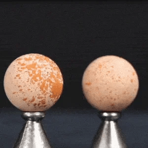 Veido blizgesį pašalinantis volelis (3 vnt.) - Originalu-pigu