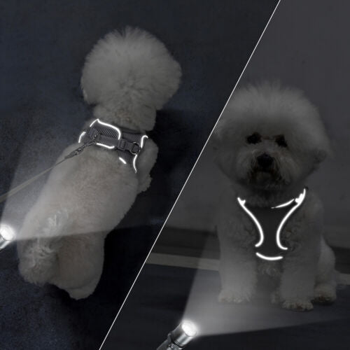 Šviesą atspindintis pavadėlis (3 vnt.) - Originalu-pigu