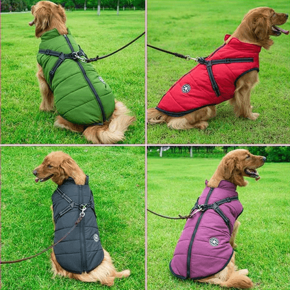 Pūkuotas švarkelis šuniui - Originalu-pigu