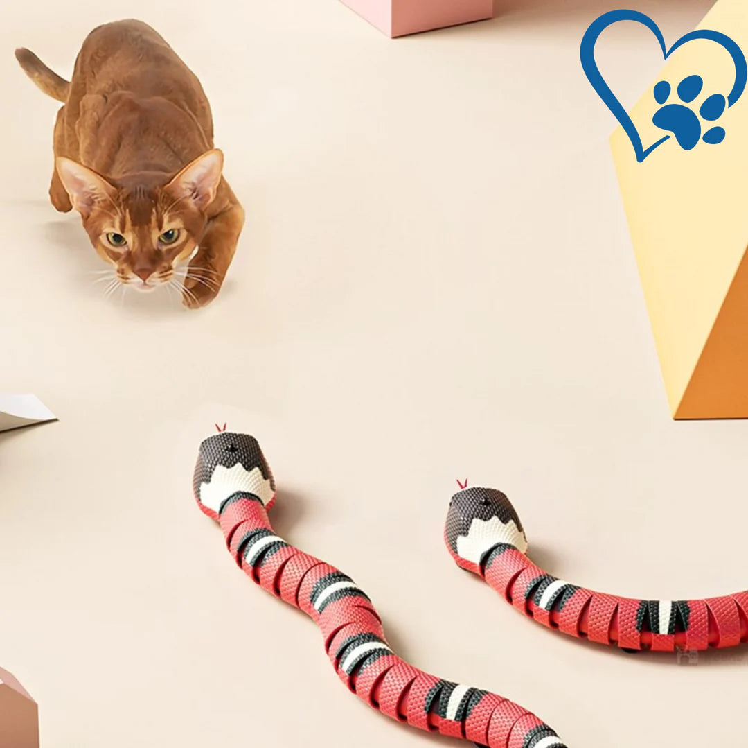 Interaktyvus žaislas katėms TailTangles™