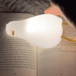 Gulinčio viščiuko šviestuvas - Originalu-pigu