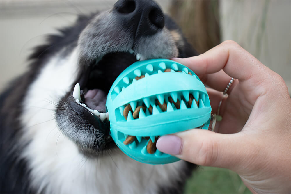 Dantų valymo kamuoliukas šunims Toothy™ - Originalu-pigu