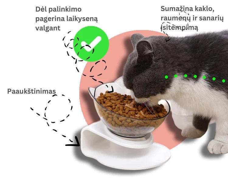 Katės maisto dubenėlis