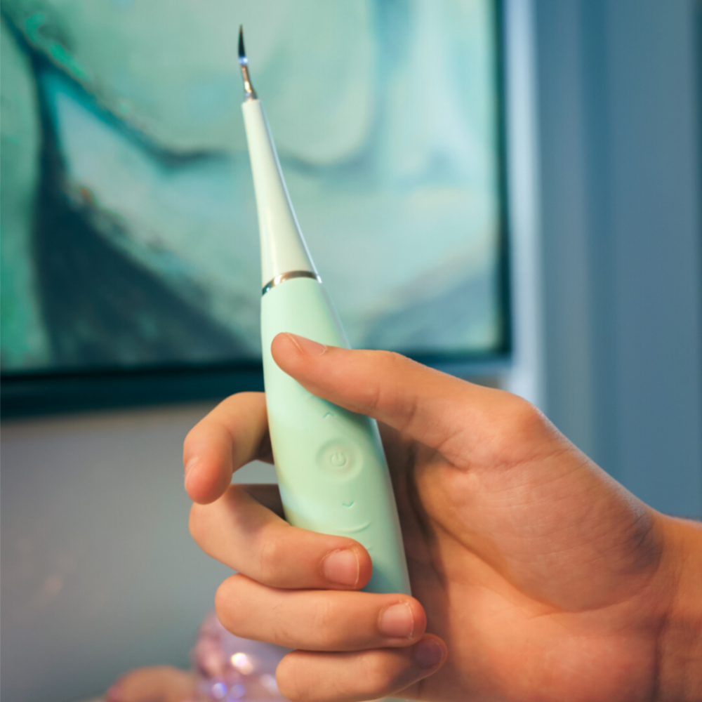 Elektrinis dantų higienos prietaisas