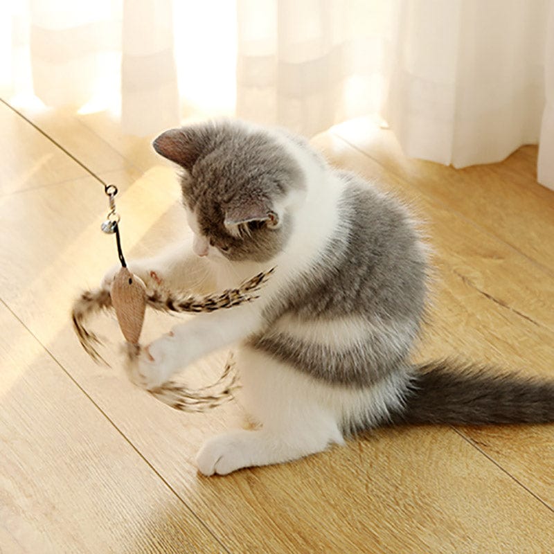 Interaktyvus žaislas katėms